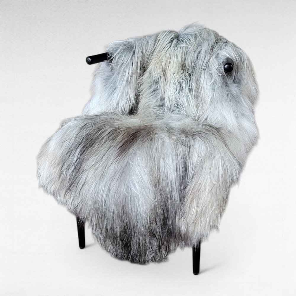 Genuine Icelandic Sheepskin Rug XXL Rare Gray Mix Moorit 55" x 36"